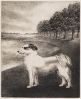 KG 1995 009
<br/>
Johnny (hond)
<br/>
<em>Wesseling, Riek (1914-1995)</em>